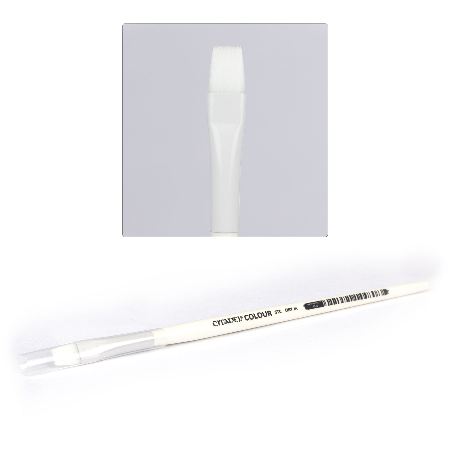 Citadel Hobby: Synthetic Brush - Medium Dry (Single)
