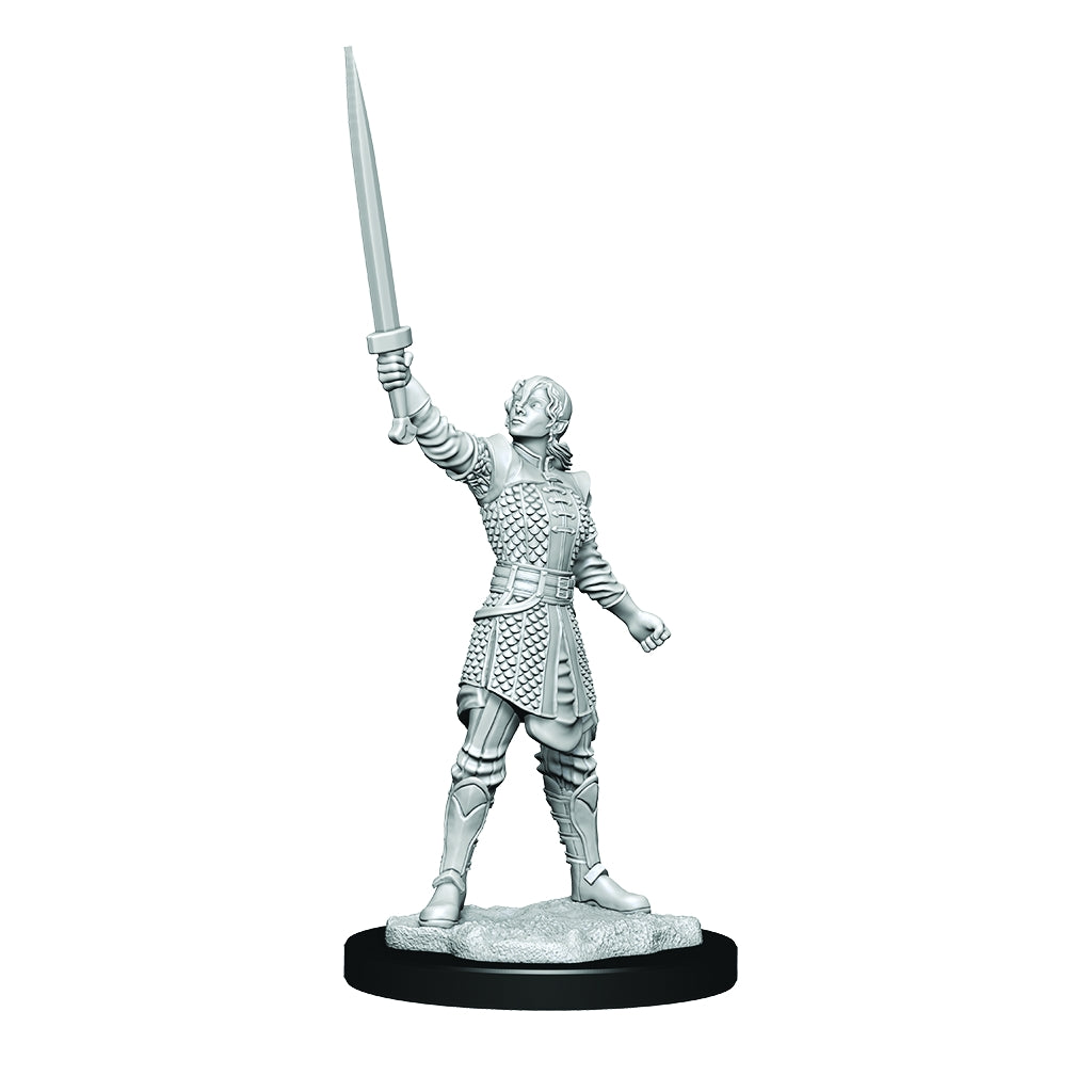 Critical Role: Unpainted Miniatures - Human Dwendalian Empire Fighter