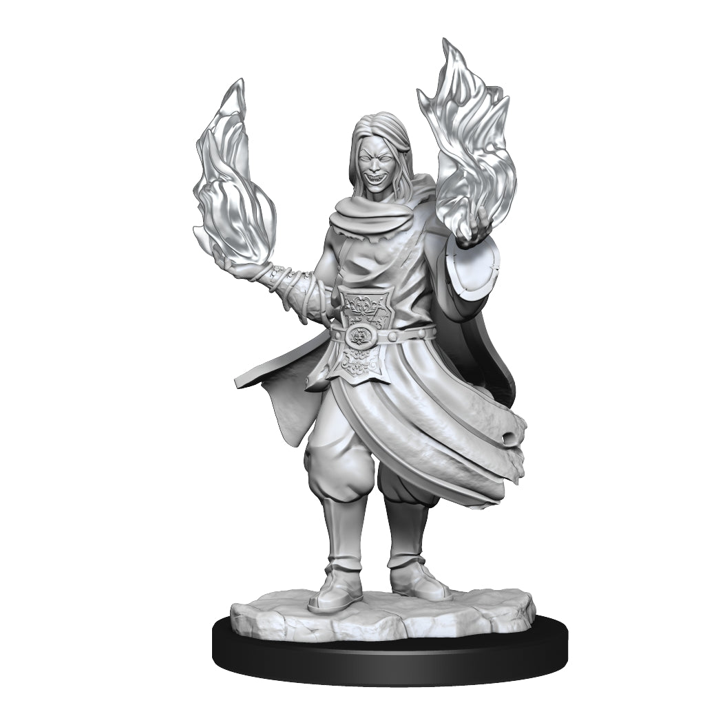 Critical Role: Unpainted Miniatures - Hollow One Rogue and Sorceror Ma