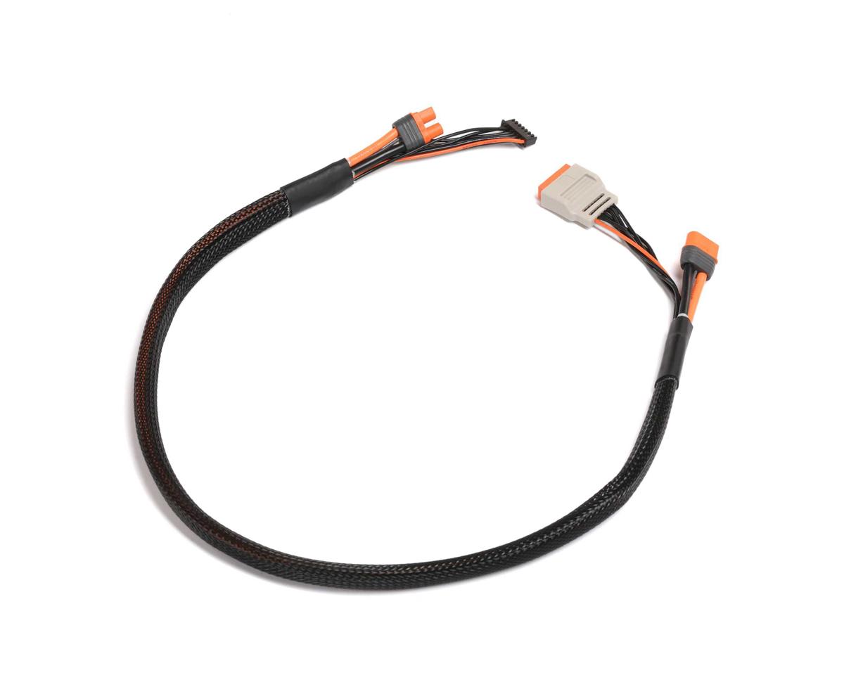 Spektrum RC Charge Lead with Balance Extension 24" IC3, 2-6S
