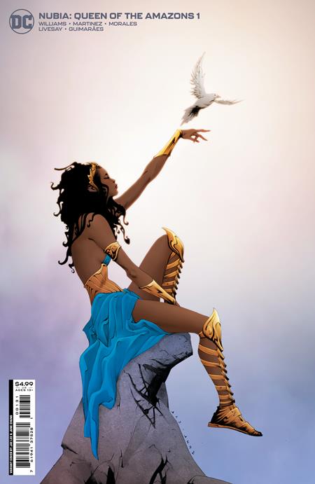 NUBIA QUEEN OF THE AMAZONS #1 (OF 4) CVR B JAE LEE CARD STOCK VAR